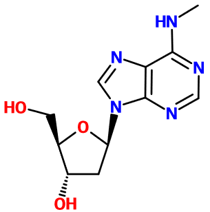 MC081309 N6-Methyl-2'-deoxyadenosine (图片) MC081309 N6-Methyl-2'-deoxyadenosine